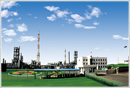 Bazhou Ruixing Chemical Co., Ltd
